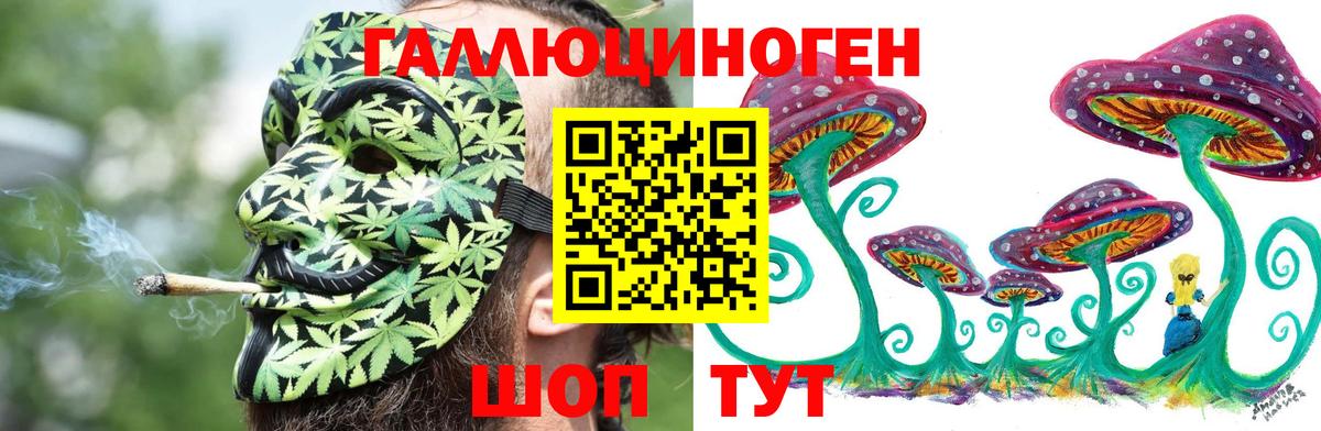 Псилоцибиновые грибы Psilocybine cubensis Владикавказ